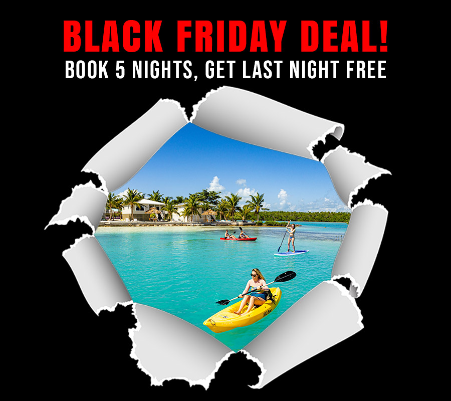 belize black friday travel